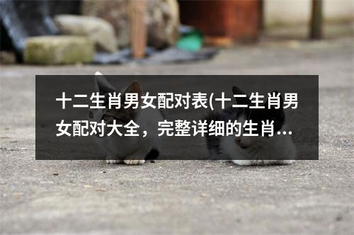 十二生肖男女配对表(十二生肖男女配对大全，完整详细的生肖配对表格！)