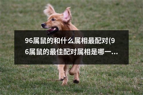 96属鼠的和什么属相配对(96属鼠的佳配对属相是哪一个？30字标题)