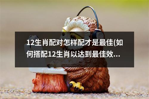 12生肖配对怎样配才是佳(如何搭配12生肖以达到佳效果)