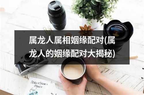 属龙人属相姻缘配对(属龙人的姻缘配对大揭秘)