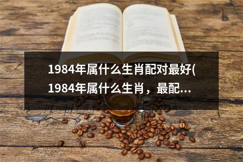 1984年属什么生肖配对好(1984年属什么生肖，配对的生肖是哪些？)