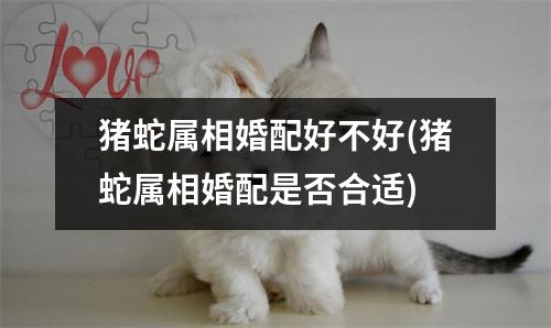 猪蛇属相婚配好不好(猪蛇属相婚配是否合适)