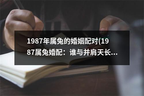 1987年属兔的婚姻配对(1987属兔婚配：谁与并肩天长地久？)