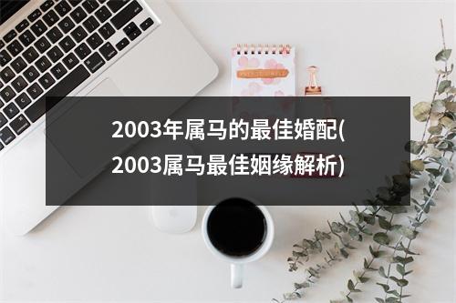 2003年属马的佳婚配(2003属马佳姻缘解析)