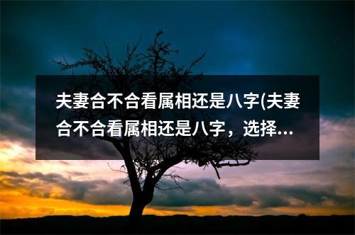 夫妻合不合看属相还是八字(夫妻合不合看属相还是八字，选择正确更幸福)