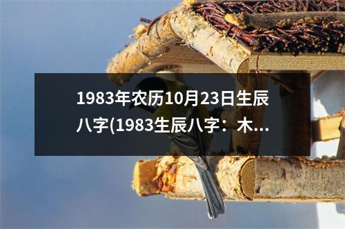 1983年农历10月23日生辰八字(1983生辰八字：木兔火戌土酉水未)