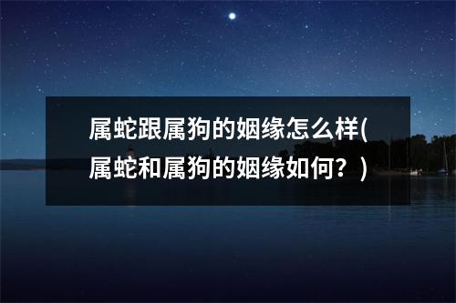 属蛇跟属狗的姻缘怎么样(属蛇和属狗的姻缘如何？)