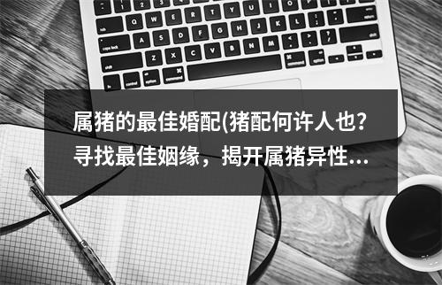 属猪的佳婚配(猪配何许人也？寻找佳姻缘，揭开属猪异性情感兴趣盲点！)