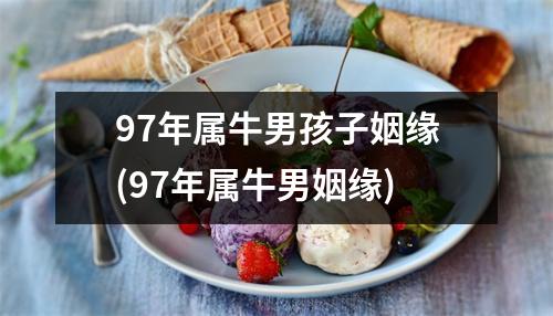 97年属牛男孩子姻缘(97年属牛男姻缘)