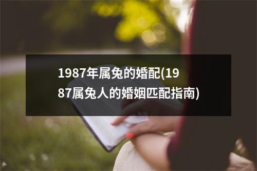 1987年属兔的婚配(1987属兔人的婚姻匹配指南)