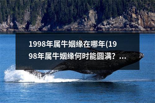 1998年属牛姻缘在哪年(1998年属牛姻缘何时能圆满？)