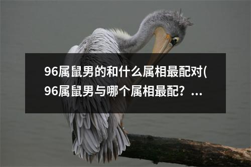 96属鼠男的和什么属相配对(96属鼠男与哪个属相配？30个字内。)