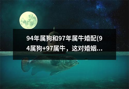 94年属狗和97年属牛婚配(94属狗+97属牛，这对婚姻会有什么变化？)