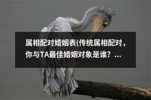 属相配对婚姻表(传统属相配对，你与TA佳婚姻对象是谁？)