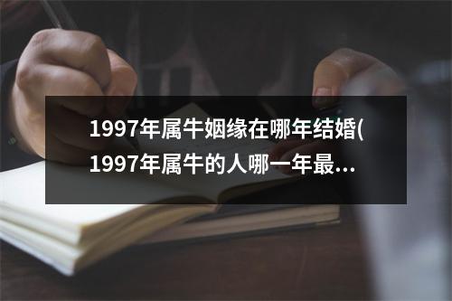 1997年属牛姻缘在哪年结婚(1997年属牛的人哪一年适合结婚？)