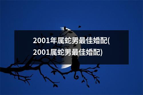 2001年属蛇男佳婚配(2001属蛇男佳婚配)