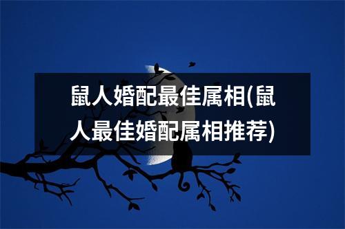 鼠人婚配佳属相(鼠人佳婚配属相推荐)