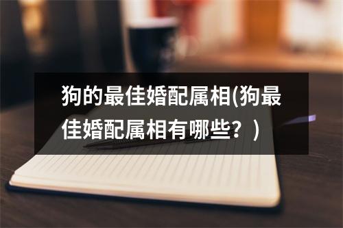 狗的佳婚配属相(狗佳婚配属相有哪些？)