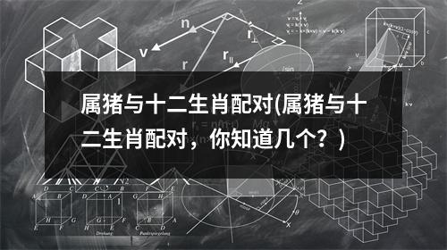 属猪与十二生肖配对(属猪与十二生肖配对，你知道几个？)