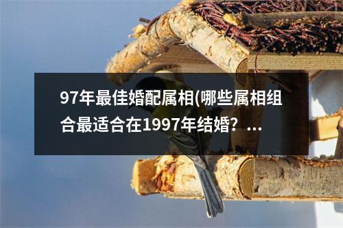 97年佳婚配属相(哪些属相组合适合在1997年结婚？)