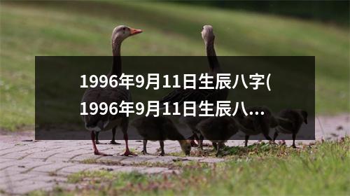 1996年9月11日生辰八字(1996年9月11日生辰八字)