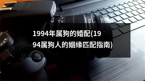 1994年属狗的婚配(1994属狗人的姻缘匹配指南)