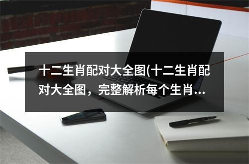 十二生肖配对大全图(十二生肖配对大全图，完整解析每个生肖与其配对，揭秘十二宫秘密！)