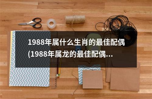 1988年属什么生肖的佳配偶(1988年属龙的佳配偶)