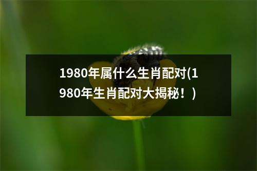 1980年属什么生肖配对(1980年生肖配对大揭秘！)