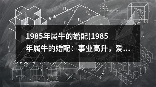 1985年属牛的婚配(1985年属牛的婚配：事业高升，爱情浮沉，何时才能找到那个对的人？)