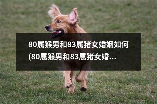 80属猴男和83属猪女婚姻如何(80属猴男和83属猪女婚姻如何：相爱容易相处难？)