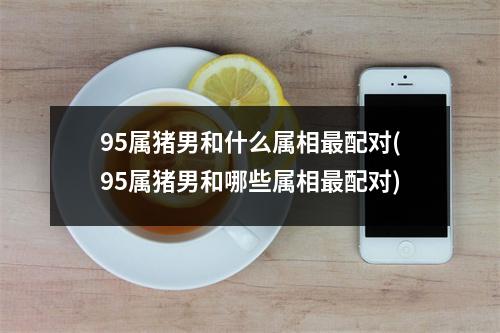 95属猪男和什么属相配对(95属猪男和哪些属相配对)