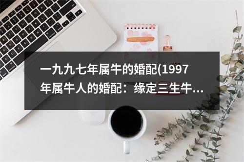 一九九七年属牛的婚配(1997年属牛人的婚配：缘定三生牛年情)