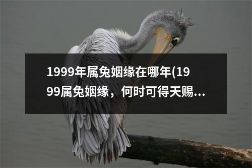 1999年属兔姻缘在哪年(1999属兔姻缘，何时可得天赐良缘？)