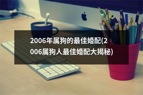 2006年属狗的佳婚配(2006属狗人佳婚配大揭秘)