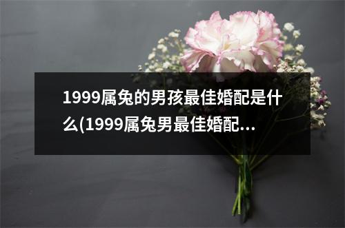 1999属兔的男孩佳婚配是什么(1999属兔男佳婚配，会是谁？)