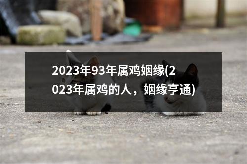 2023年93年属鸡姻缘(2023年属鸡的人，姻缘亨通)