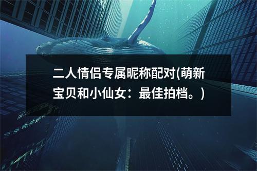 二人情侣专属昵称配对(萌新宝贝和小仙女：佳拍档。)