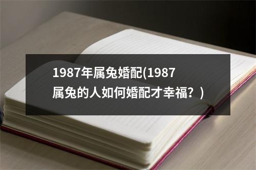 1987年属兔婚配(1987属兔的人如何婚配才幸福？)