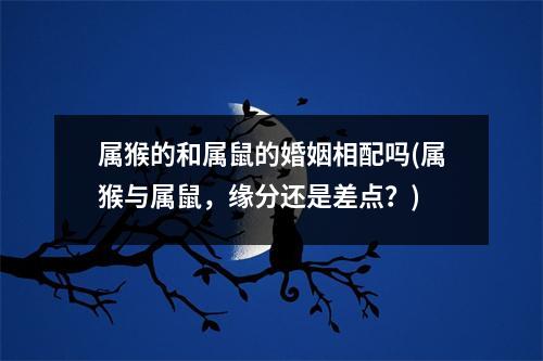 属猴的和属鼠的婚姻相配吗(属猴与属鼠，缘分还是差点？)