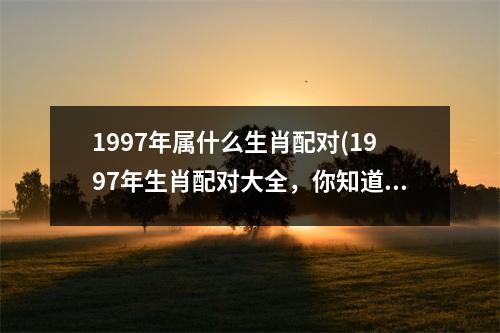 1997年属什么生肖配对(1997年生肖配对大全，你知道吗？)