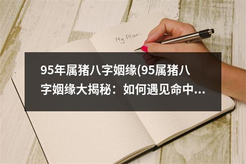 95年属猪八字姻缘(95属猪八字姻缘大揭秘：如何遇见命中注定的另一半)