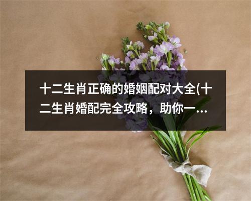 十二生肖正确的婚姻配对大全(十二生肖婚配完全攻略，助你一步到位！)