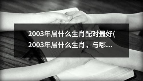 2003年属什么生肖配对好(2003年属什么生肖，与哪些属相配？)