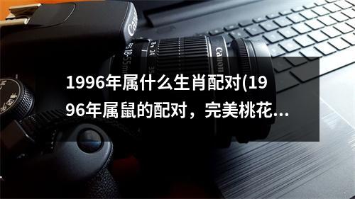 1996年属什么生肖配对(1996年属鼠的配对，完美桃花缘)