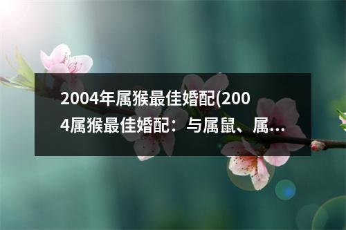 2004年属猴佳婚配(2004属猴佳婚配：与属鼠、属蛇、属鸡的异性缘定会！)