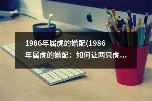 1986年属虎的婚配(1986年属虎的婚配：如何让两只虎相互呼应？)