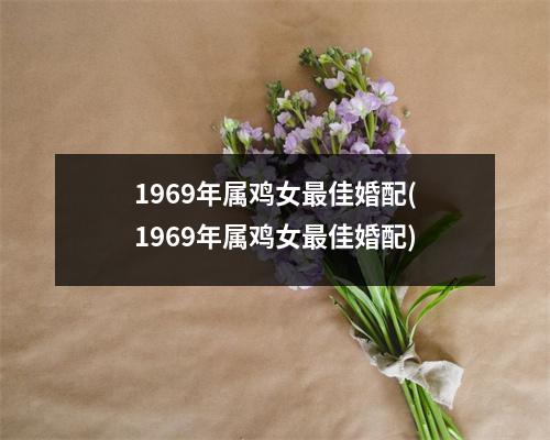 1969年属鸡女佳婚配(1969年属鸡女佳婚配)