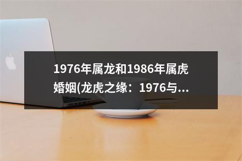 1976年属龙和1986年属虎婚姻(龙虎之缘：1976与1986，谁与争锋？)