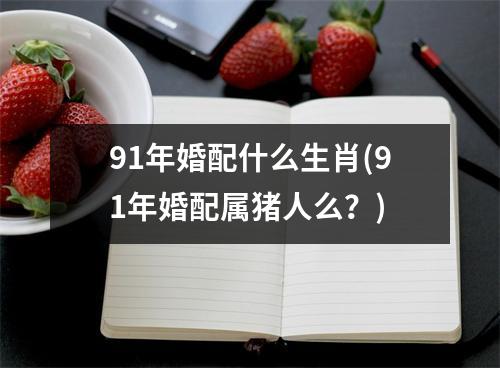 91年婚配什么生肖(91年婚配属猪人么？)